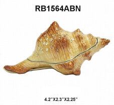 Brown Seashell