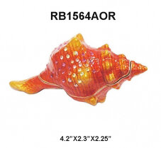 Orange Seashell