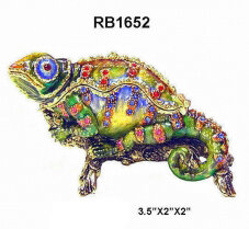 Colorful Chameleon