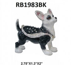 Black and White Chihuahua