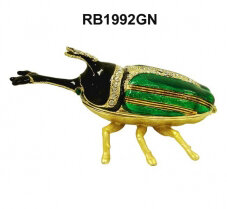Green and Black Beetle