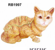 Yellow-Brown Cat