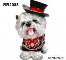 Terrier in Little Black Suit with Hat