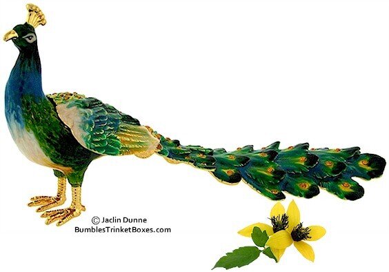 Bird Box- Peacock