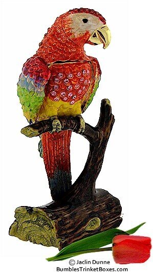 Red Parrot Box