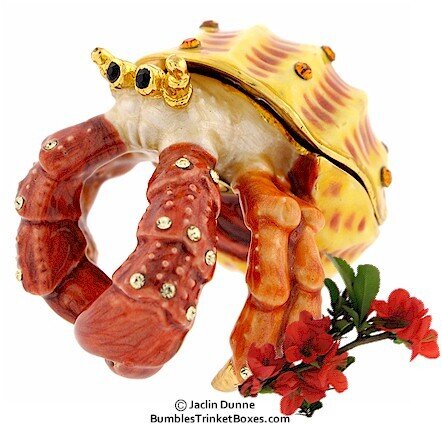 New Hermit Crab