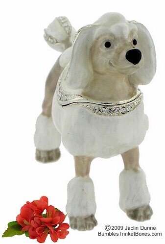 Poodle in Show Cut