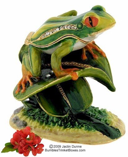 Frog on Leaf