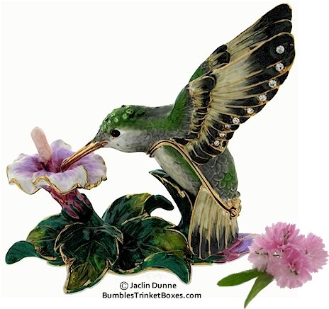 Hummingbird at Hibiscus
