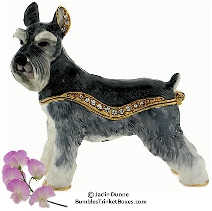 Schnauzer- Gray