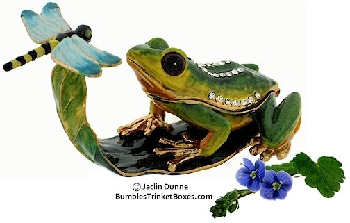 Frog and Dragonfly