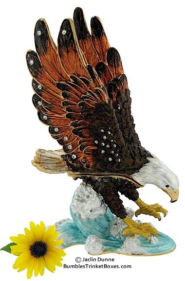 Eagle on Water