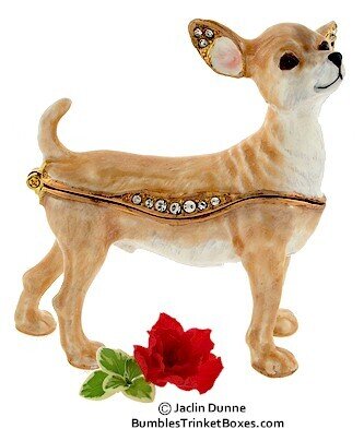 New Chihuahua