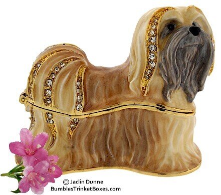 Lhasa Apso