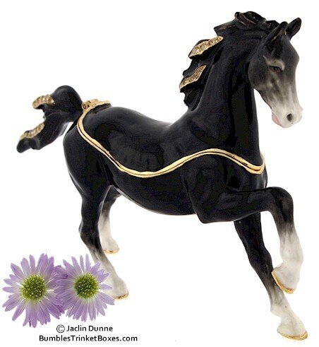 Black Stallion