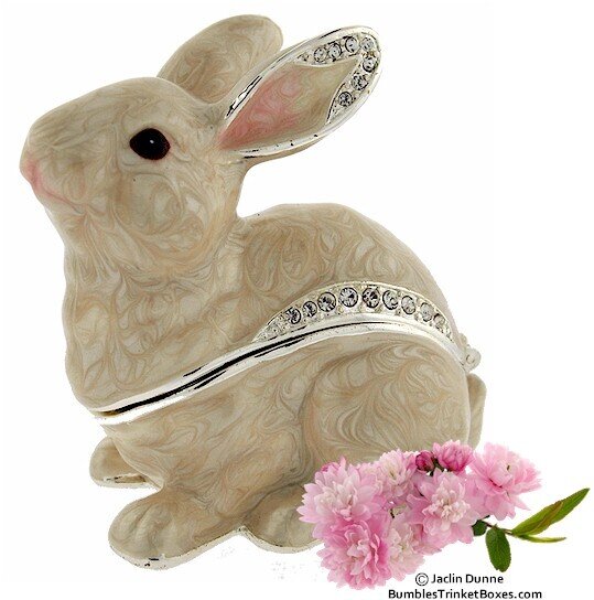 White Bunny Sitting