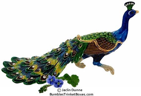 Strutting Peacock