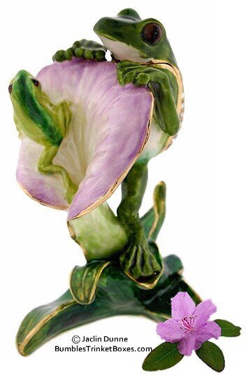 Frog on Calla Lily