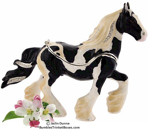 Vanner Horse