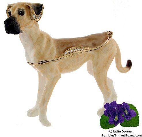 Great Dane