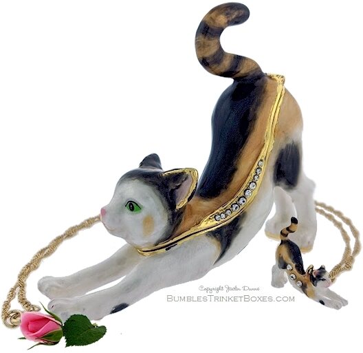Calico Cat Stretching Box