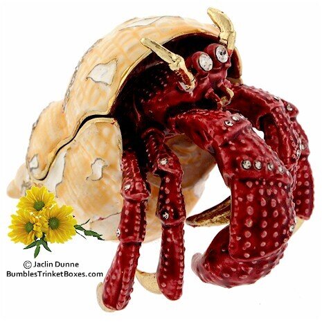 Large Hermit Crab