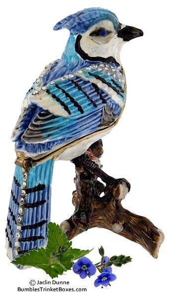 Blue Jay Sitting on Branch Trinket Box