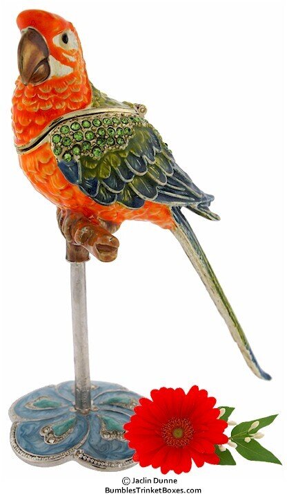 Parrot on a Perch Trinket Box