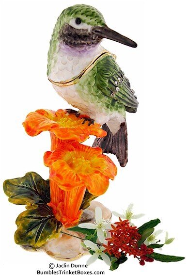 Hummingbird on Trumpet Vine Trinket Box