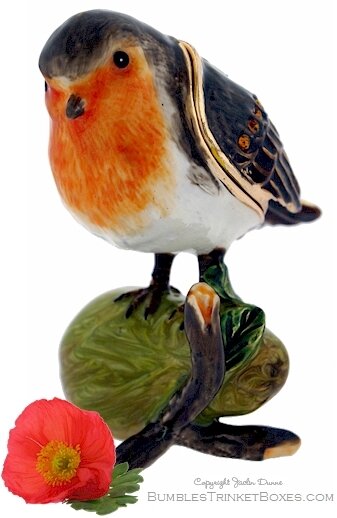 Robin On A Fruit Tree Branch