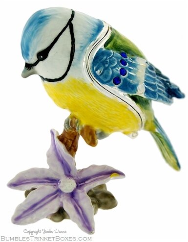Blue Tit On The Clematis