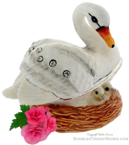 Swan&#39;s Nest