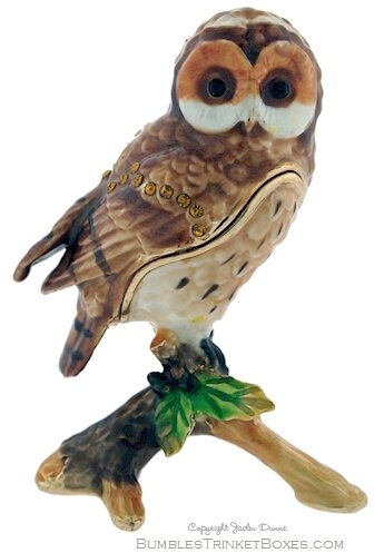 Little Tawny Owl Perching