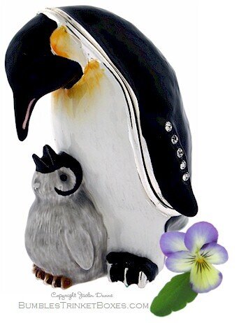 Penguin And Hungry Chick