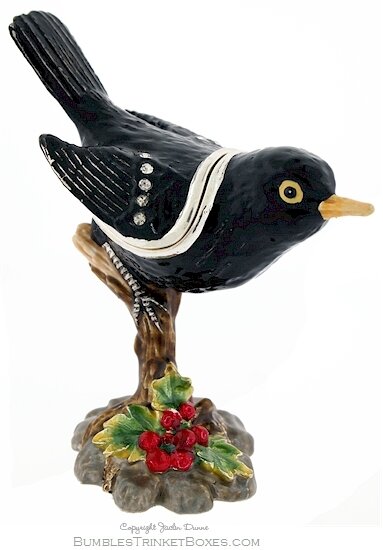Blackbird in the Berries Box