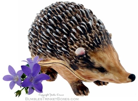 Handsome Hedgehog