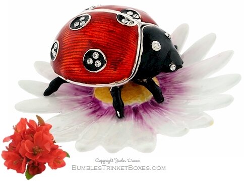 Ladybug On A Flower