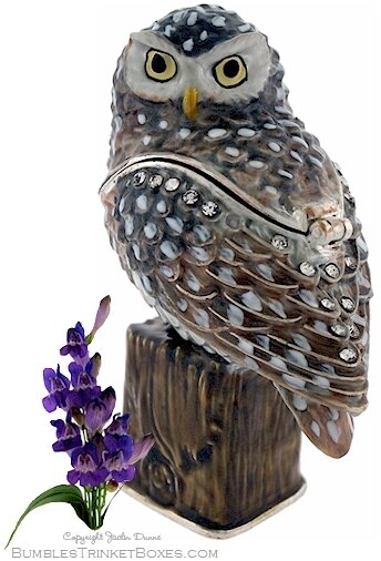 Little Spotted Owl On Post