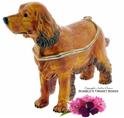 A Cocker Spaniel Standing
