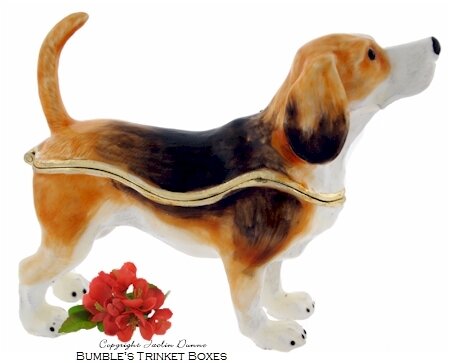 A Beagle Standing
