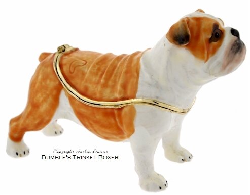 A Bulldog