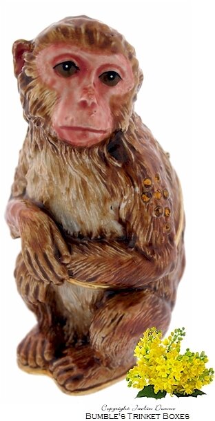 A Monkey