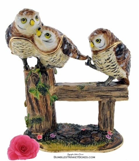 Three Owlets Sitting On a Fence