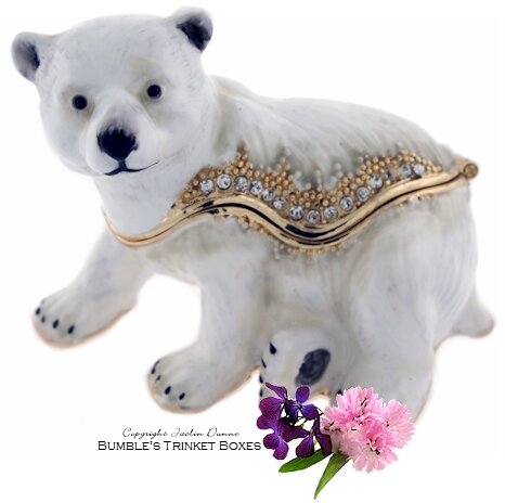 A Polar Bear Sitting