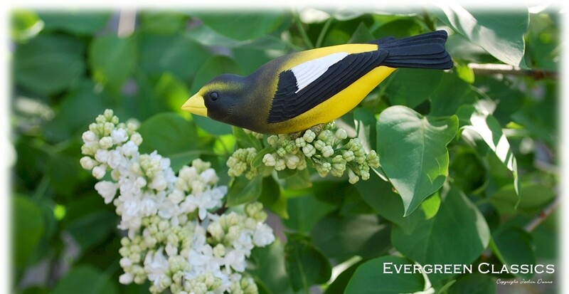 Evening Grosbeak Perching | Hand Painted Christmas Ornament &amp; Decorative Magnet