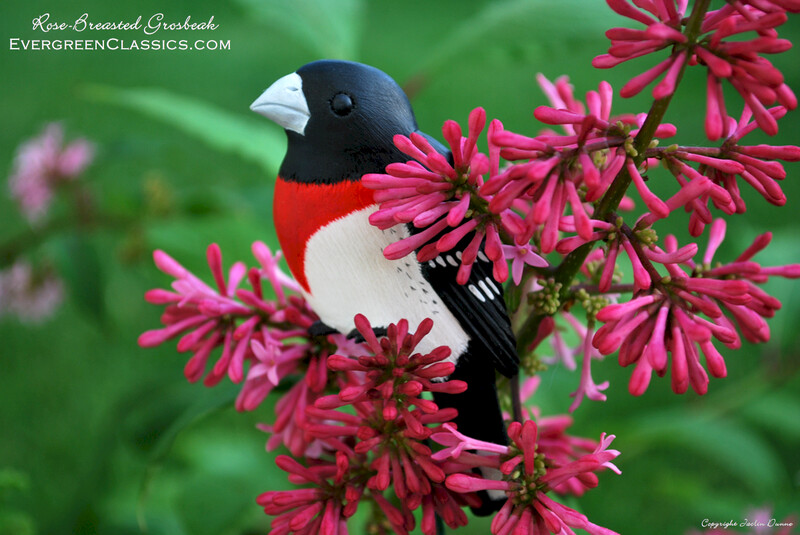 Rose Breasted Grosbeak | Hand Painted Christmas Ornament &amp; Decorative Magnet