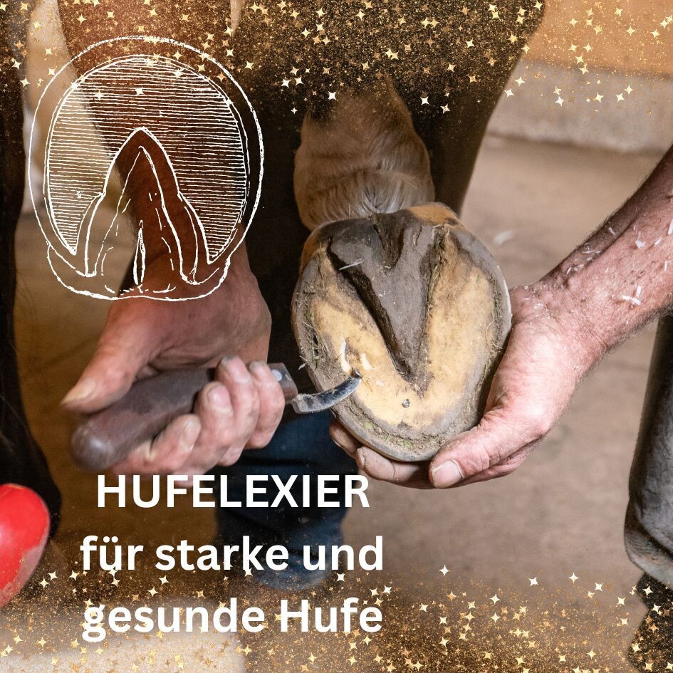 kolloidale Mischung - Hufelexier