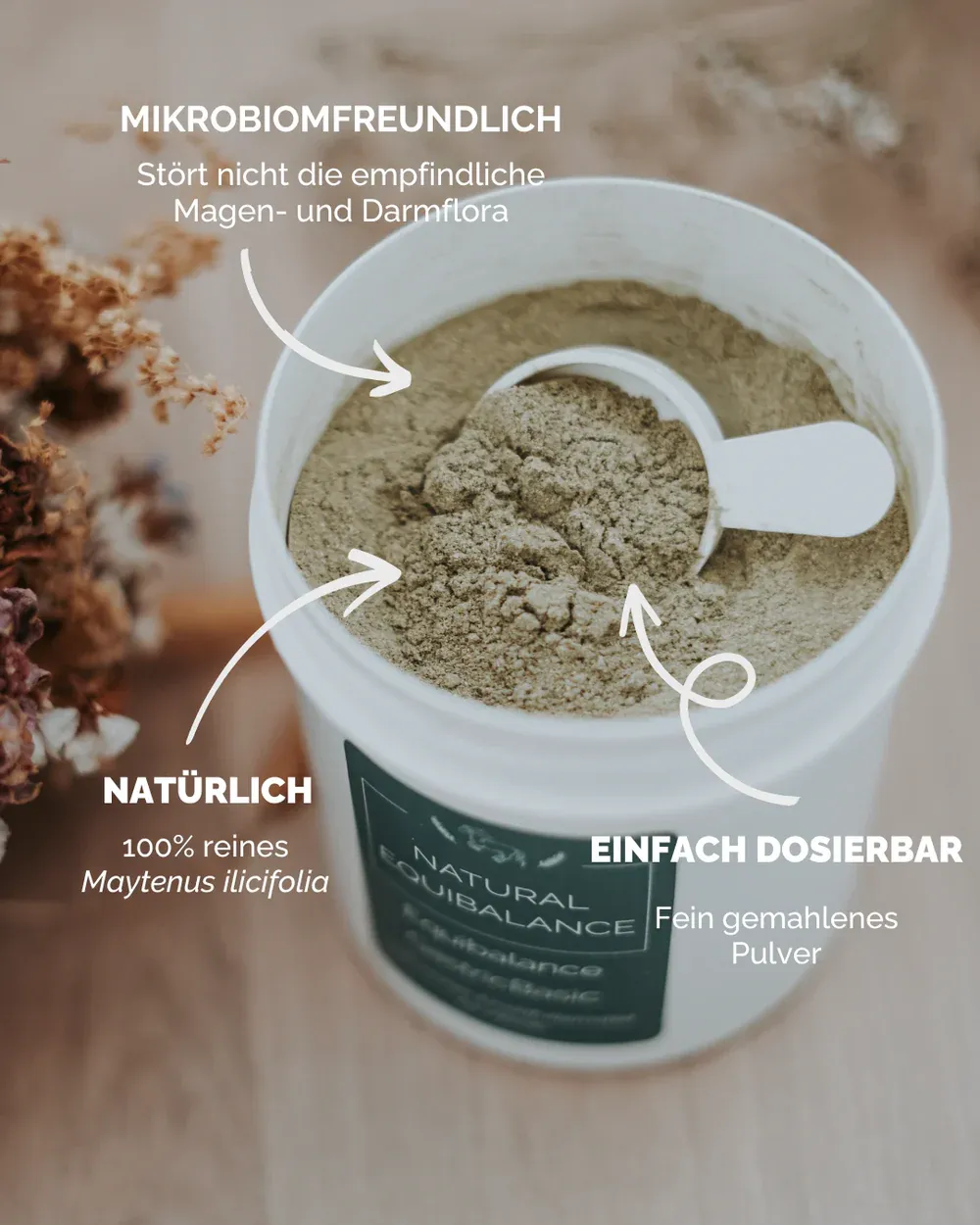 Gastric Basic (Natural Equibalance) 250g