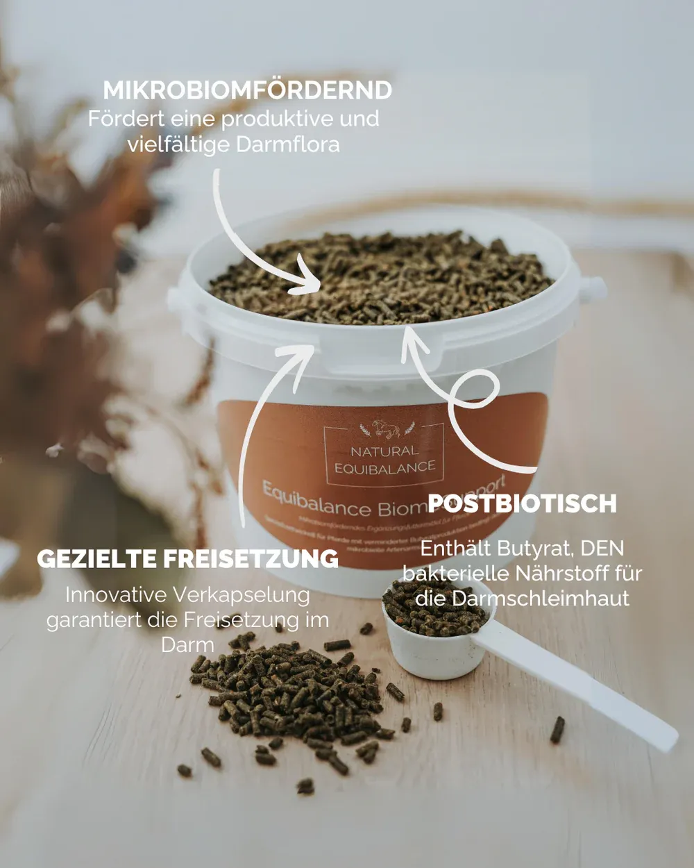 BiomeSupport (Natural Equibalance) 1,5kg