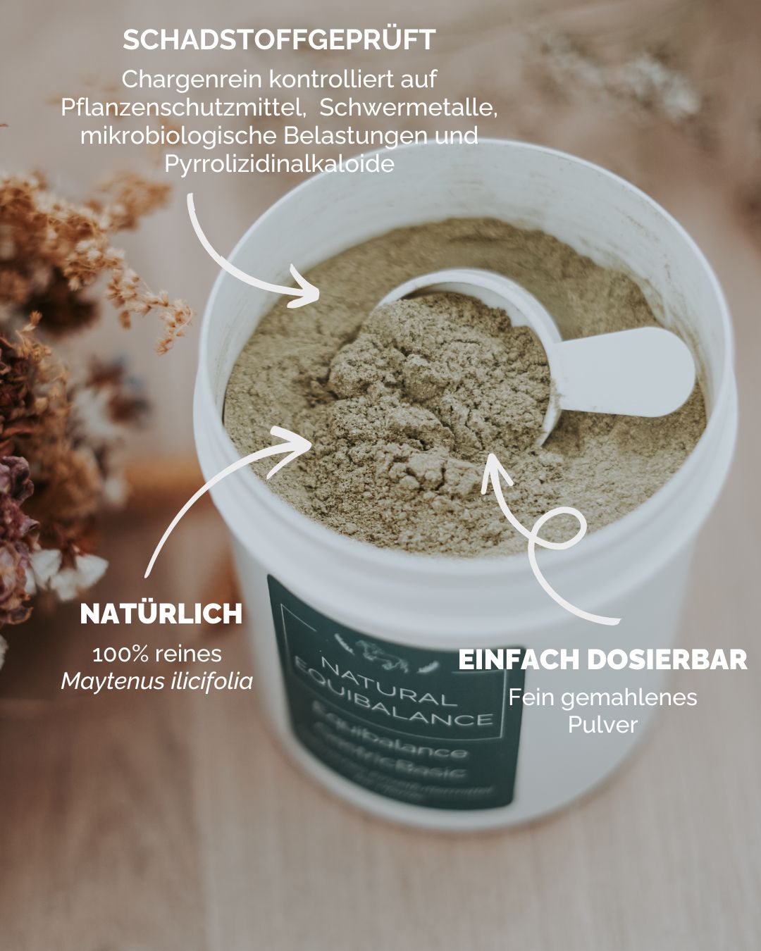 Gastric Basic (Natural Equibalance) 250g